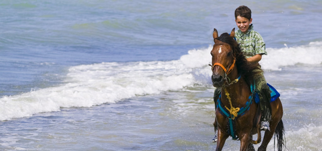 horseback riding